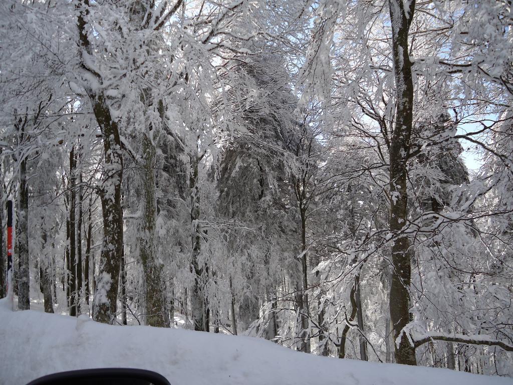 Berghotel Schiller Schonach im Schwarzwald Eksteriør bilde