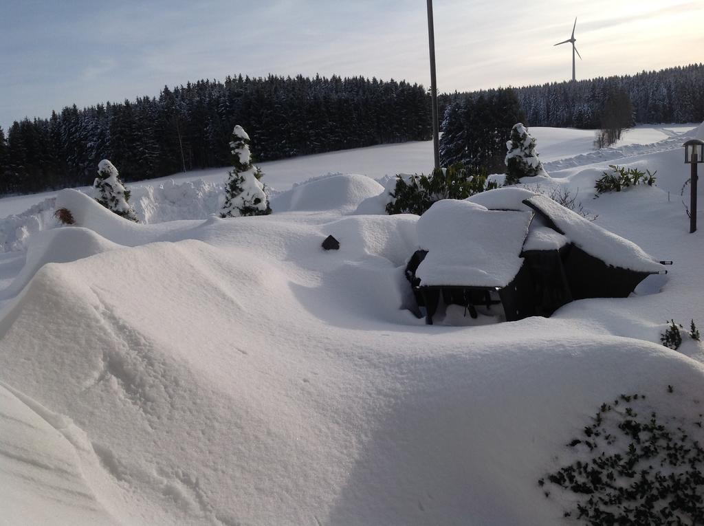 Berghotel Schiller Schonach im Schwarzwald Eksteriør bilde
