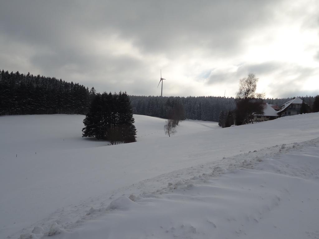 Berghotel Schiller Schonach im Schwarzwald Eksteriør bilde